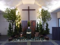 ein Bild aus dem Album