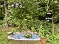 ein Bild aus dem Album