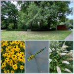 ein Bild aus dem Album